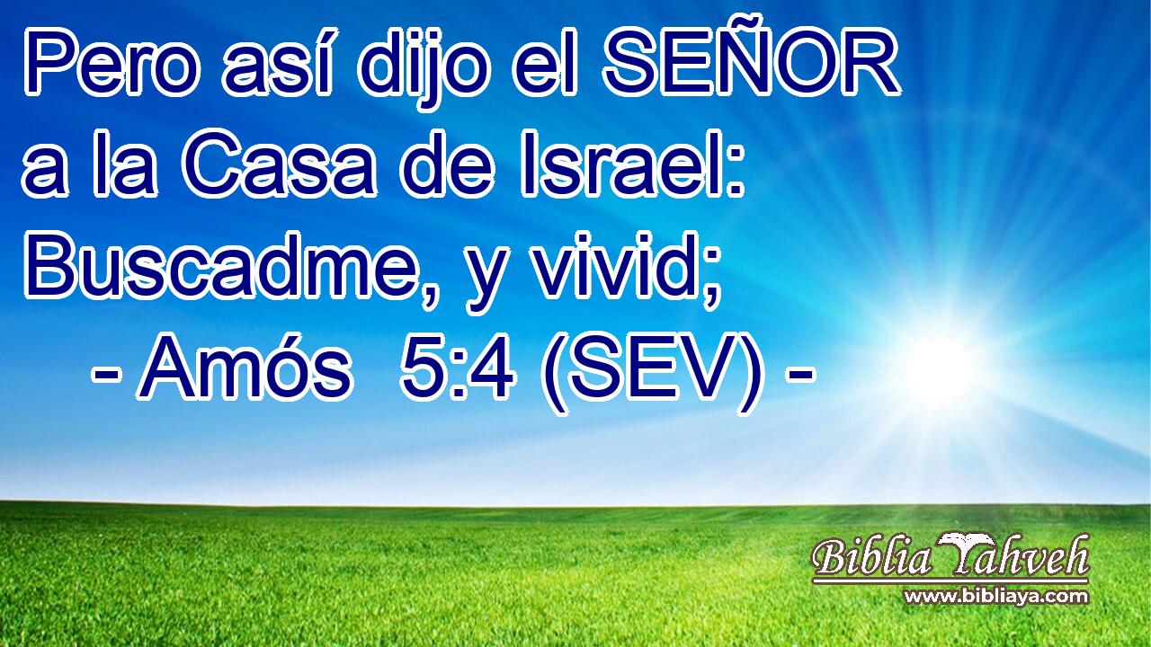 Pero así dijo el SEÑOR a la Casa de Israel: Buscadme, y vivid;