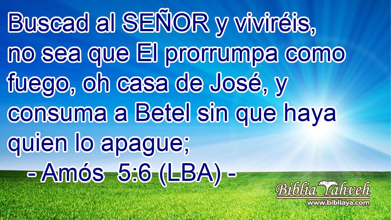 Buscad al SEÑOR y viviréis, no sea que El prorrumpa como fuego, oh casa de José, y consuma a Betel sin que haya quien lo apague;