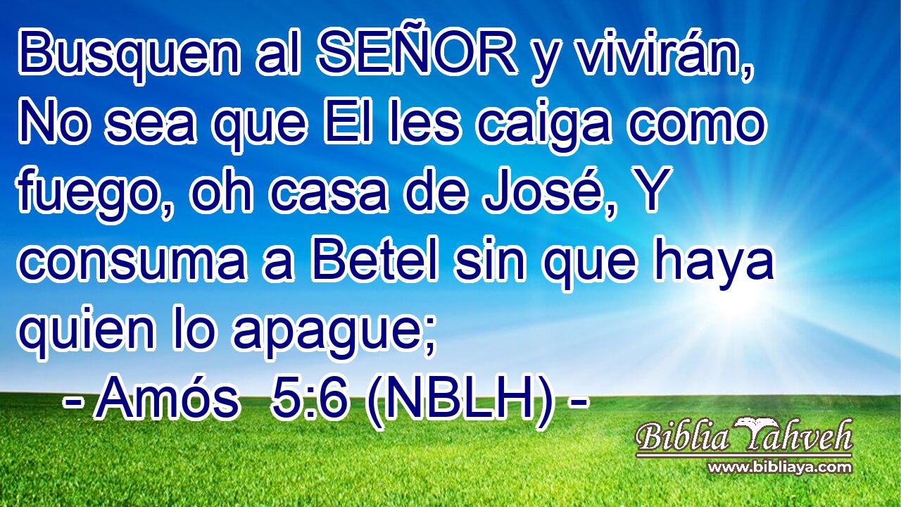  Busquen al SEÑOR y vivirán, No sea que El les caiga como fuego, oh casa de José, Y consuma a Betel sin que haya quien lo apague; 