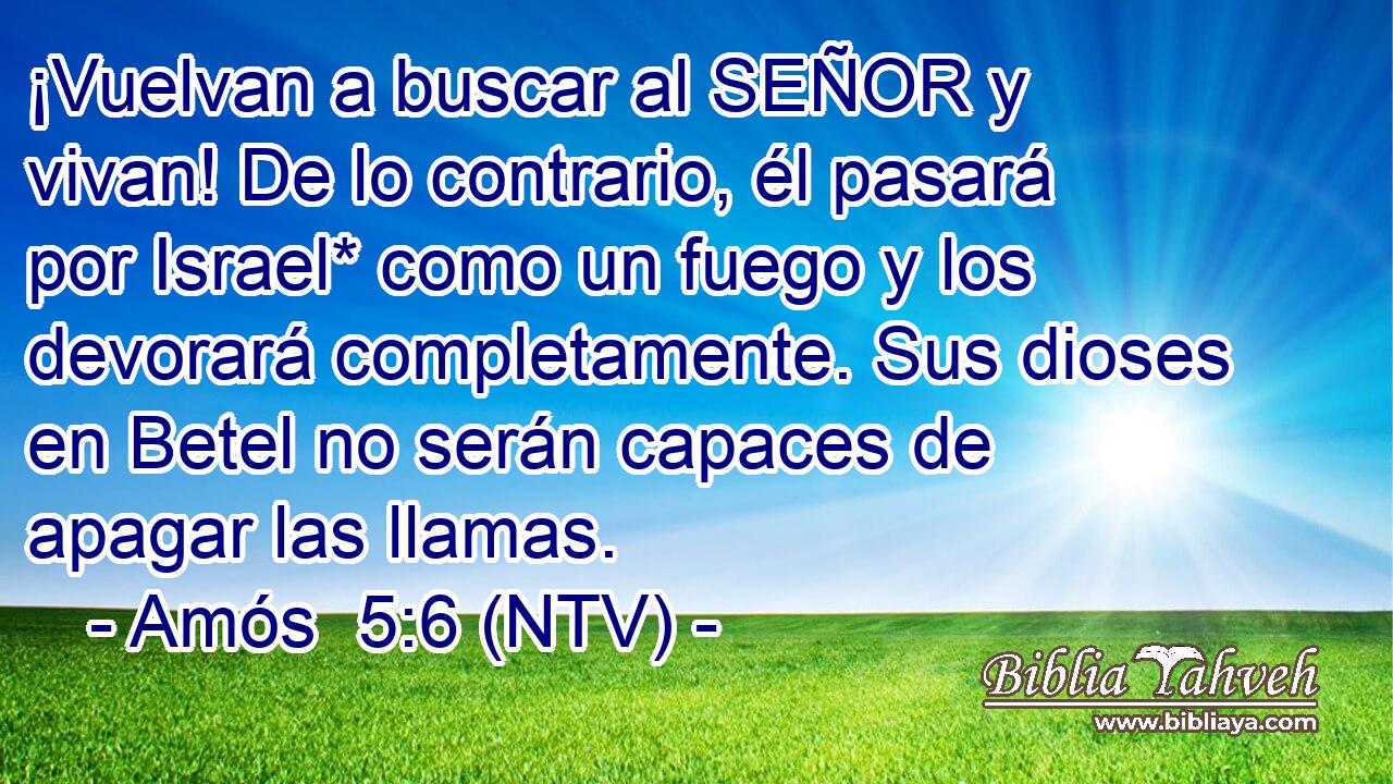 ¡Vuelvan a buscar al SEÑOR y vivan! De lo contrario, él pasará por Israel* como un fuego y los devorará completamente. Sus dioses en Betel no serán capaces de apagar las llamas.