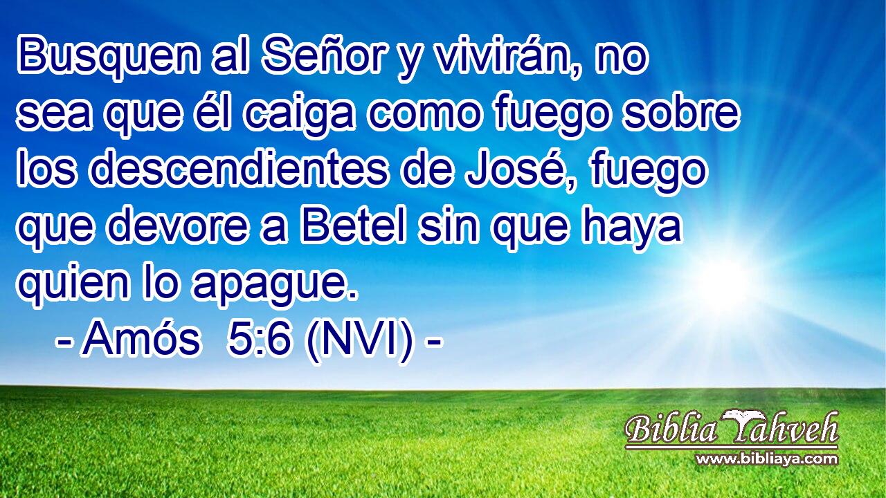  Busquen al Señor y vivirán, no sea que él caiga como fuego sobre los descendientes de José, fuego que devore a Betel sin que haya quien lo apague. 