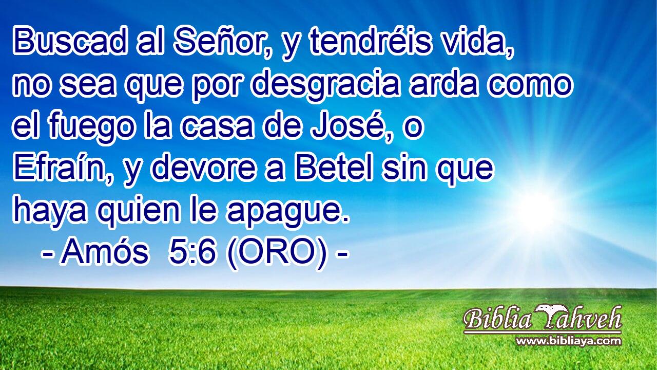  Buscad al Señor, y tendréis vida, no sea que por desgracia arda como el fuego la casa de José, o Efraín, y devore a Betel sin que haya quien le apague. 