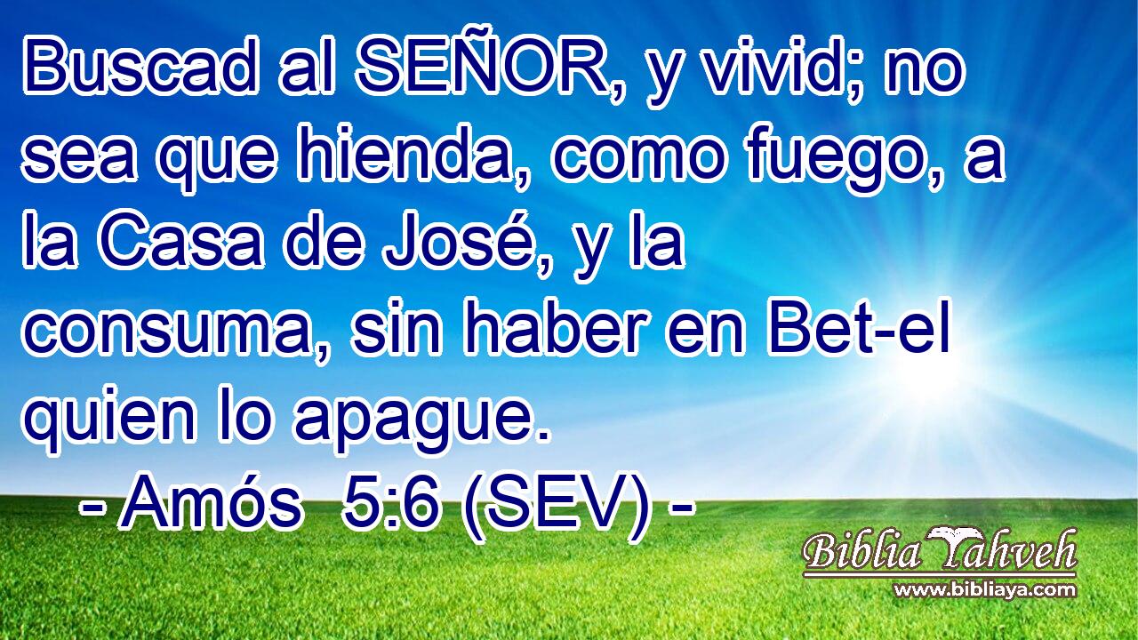 Buscad al SEÑOR, y vivid; no sea que hienda, como fuego, a la Casa de José, y la consuma, sin haber en Bet-el quien lo apague.