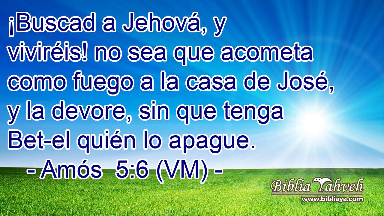  ¡Buscad a Jehová, y viviréis! no sea que acometa como fuego a la casa de José, y la devore, sin que tenga Bet-el quién lo apague. 