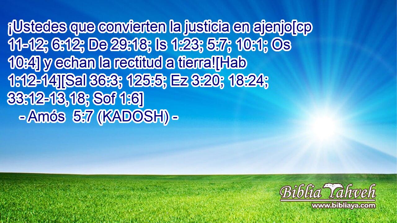  ¡Ustedes que convierten la justicia en ajenjo[cp 11-12; 6:12; De 29:18; Is 1:23; 5:7; 10:1; Os 10:4] y echan la rectitud a tierra![Hab 1:12-14][Sal 36:3; 125:5; Ez 3:20; 18:24; 33:12-13,18; Sof 1:6] 