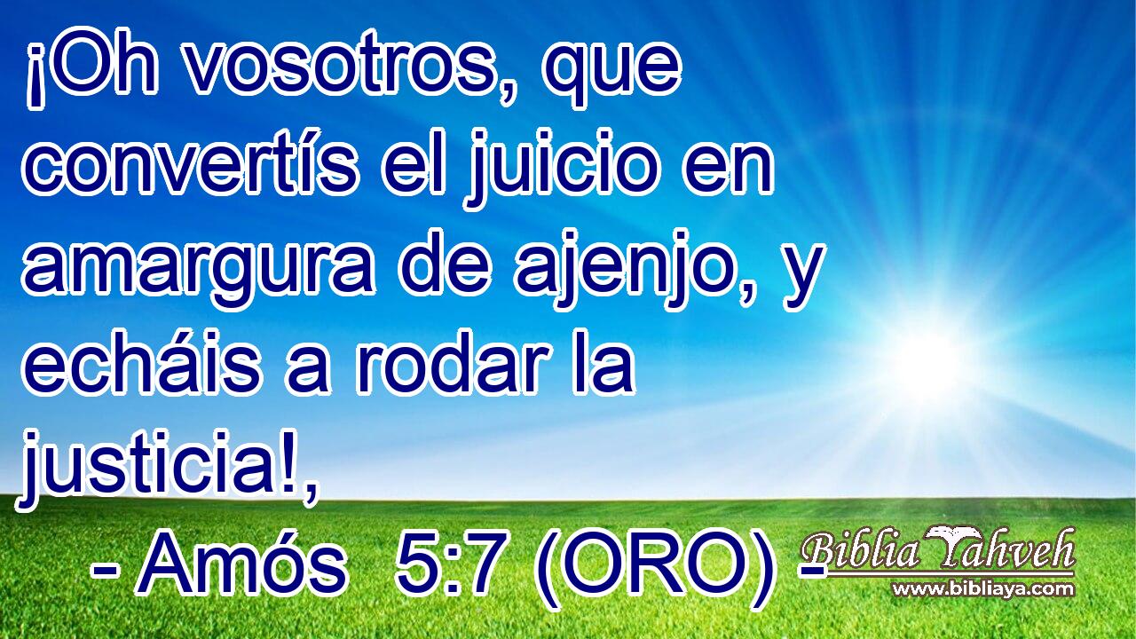  ¡Oh vosotros, que convertís el juicio en amargura de ajenjo, y echáis a rodar la justicia!, 