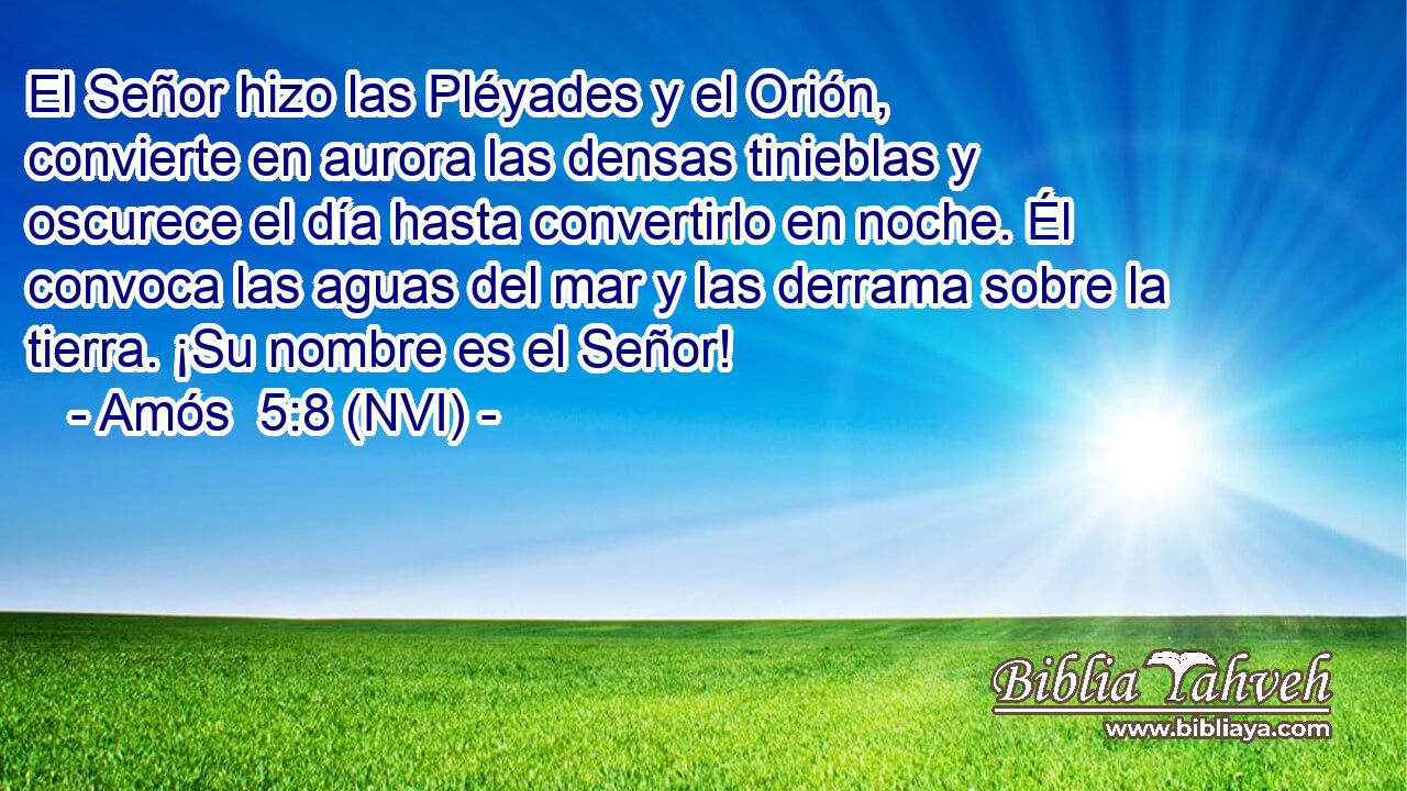  El Señor hizo las Pléyades y el Orión, convierte en aurora las densas tinieblas y oscurece el día hasta convertirlo en noche. Él convoca las aguas del mar y las derrama sobre la tierra. ¡Su nombre es el Señor! 