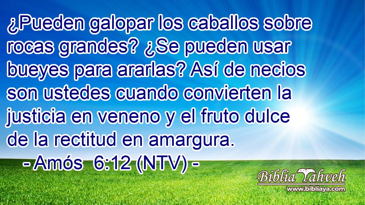 ¿Pueden galopar los caballos sobre rocas grandes? ¿Se pueden usar bueyes para ararlas? Así de necios son ustedes cuando convierten la justicia en veneno y el fruto dulce de la rectitud en amargura.
