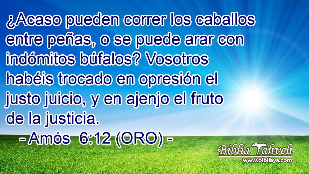  ¿Acaso pueden correr los caballos entre peñas, o se puede arar con indómitos búfalos? Vosotros habéis trocado en opresión el justo juicio, y en ajenjo el fruto de la justicia. 