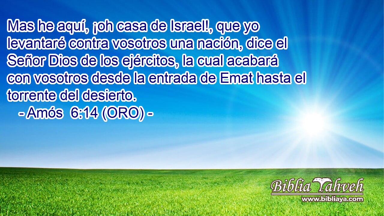  Mas he aquí, ¡oh casa de Israel!, que yo levantaré contra vosotros una nación, dice el Señor Dios de los ejércitos, la cual acabará con vosotros desde la entrada de Emat hasta el torrente del desierto. 