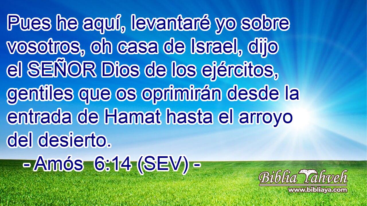 Pues he aquí, levantaré yo sobre vosotros, oh casa de Israel, dijo el SEÑOR Dios de los ejércitos, gentiles que os oprimirán desde la entrada de Hamat hasta el arroyo del desierto.