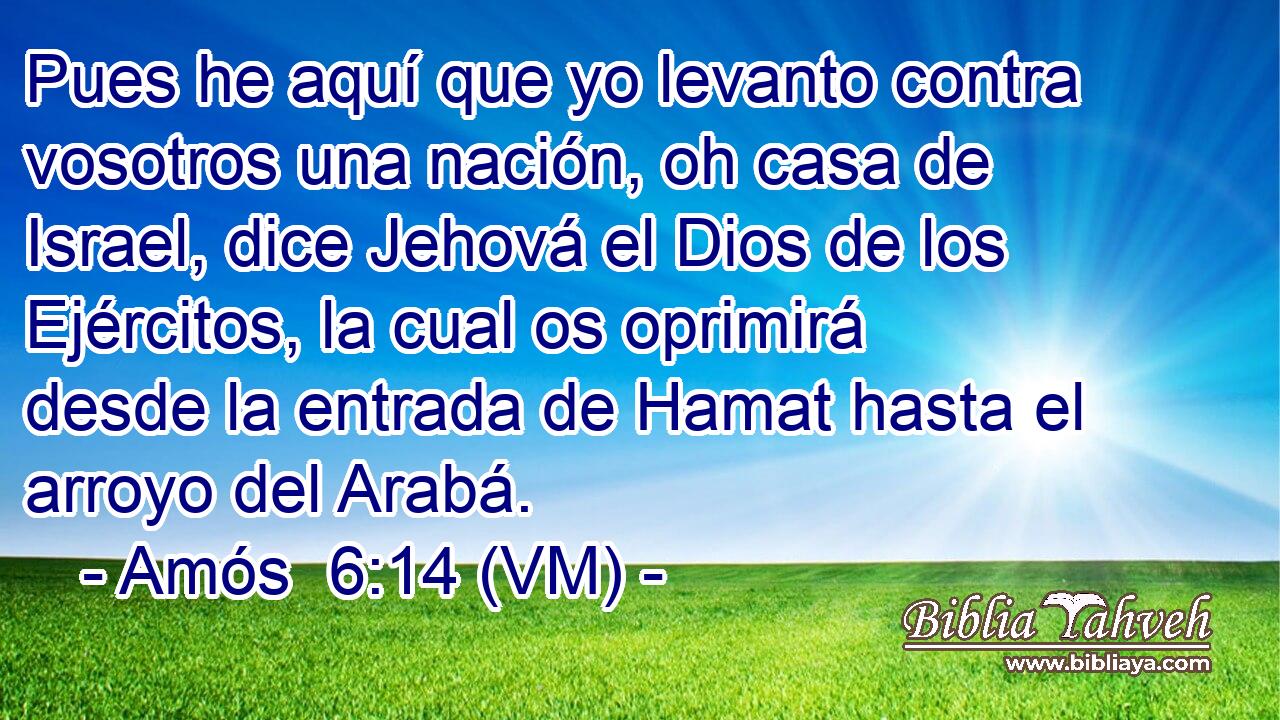  Pues he aquí que yo levanto contra vosotros una nación, oh casa de Israel, dice Jehová el Dios de los Ejércitos, la cual os oprimirá desde la entrada de Hamat hasta el arroyo del Arabá. 
