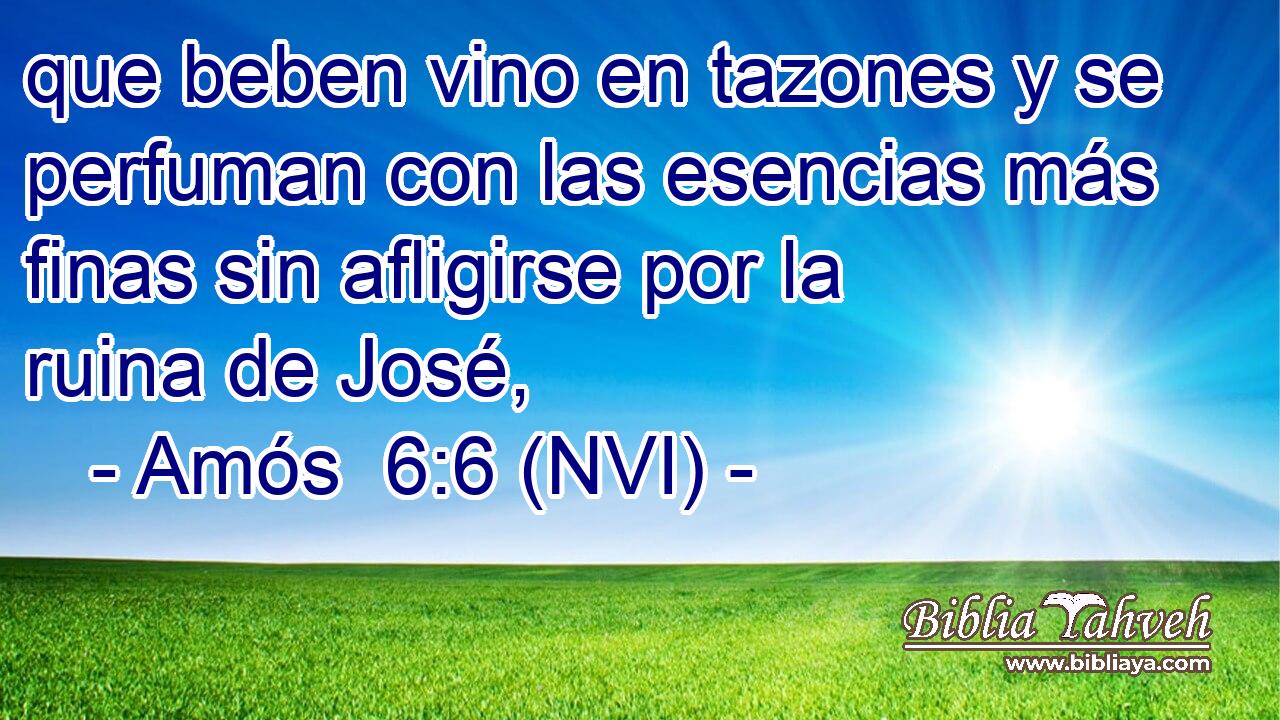  que beben vino en tazones y se perfuman con las esencias más finas sin afligirse por la ruina de José, 