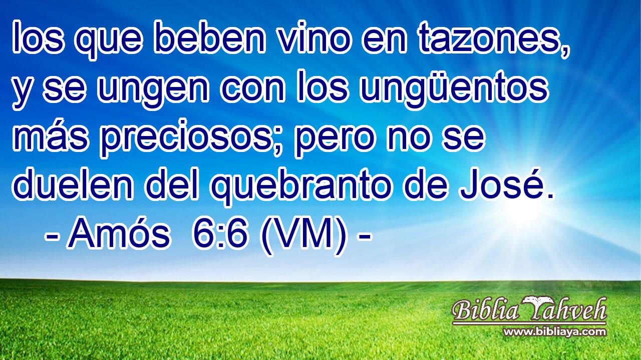  los que beben vino en tazones, y se ungen con los ungüentos más preciosos; pero no se duelen del quebranto de José. 
