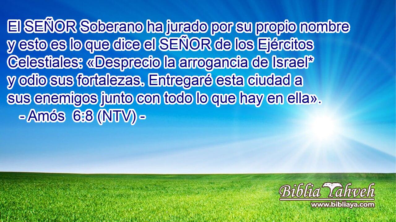 El SEÑOR Soberano ha jurado por su propio nombre y esto es lo que dice el SEÑOR de los Ejércitos Celestiales: «Desprecio la arrogancia de Israel* y odio sus fortalezas. Entregaré esta ciudad a sus enemigos junto con todo lo que hay en ella».