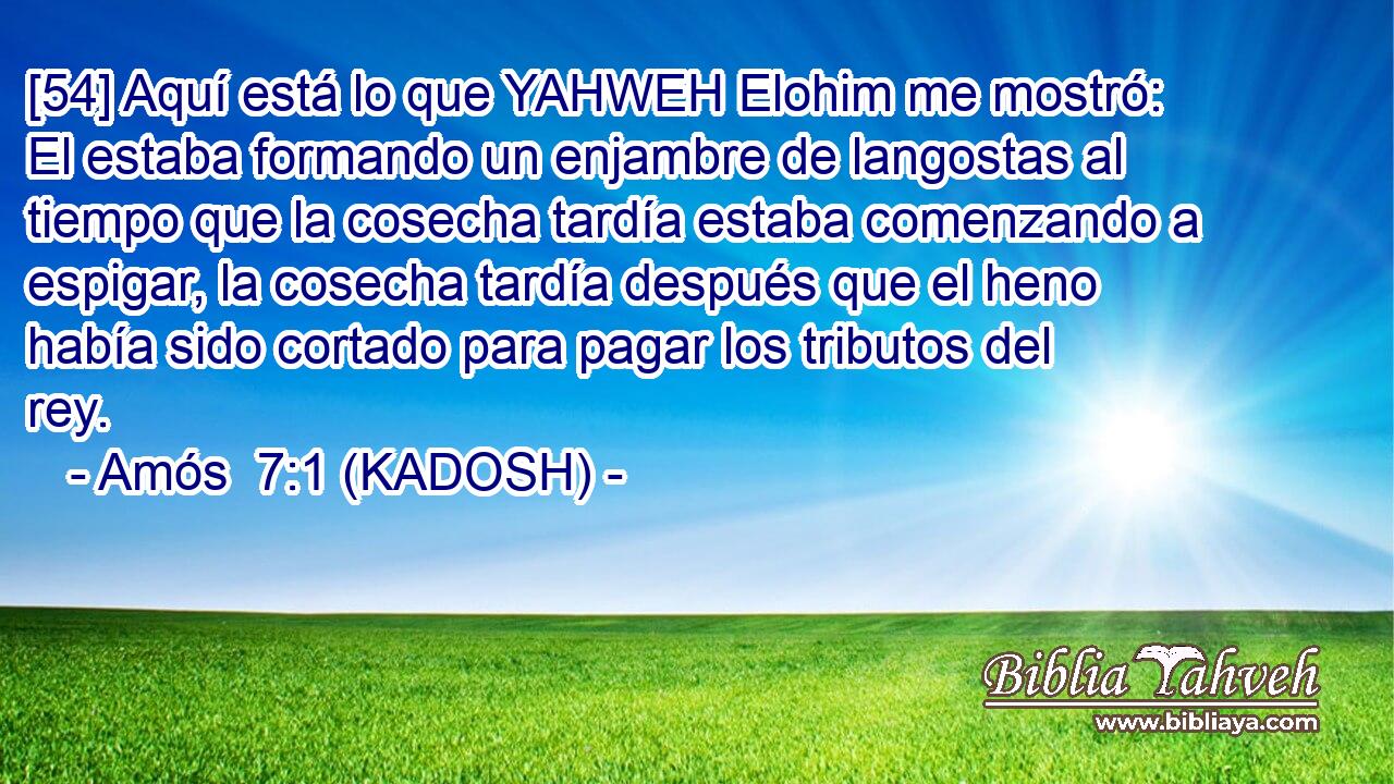  [54] Aquí está lo que YAHWEH Elohim me mostró: El estaba formando un enjambre de langostas al tiempo que la cosecha tardía estaba comenzando a espigar, la cosecha tardía después que el heno había sido cortado para pagar los tributos del rey. 