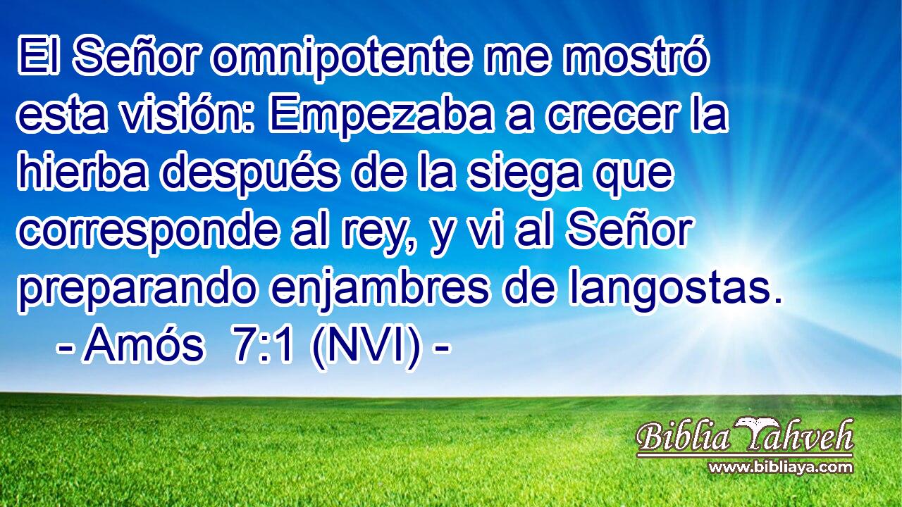  El Señor omnipotente me mostró esta visión: Empezaba a crecer la hierba después de la siega que corresponde al rey, y vi al Señor preparando enjambres de langostas. 