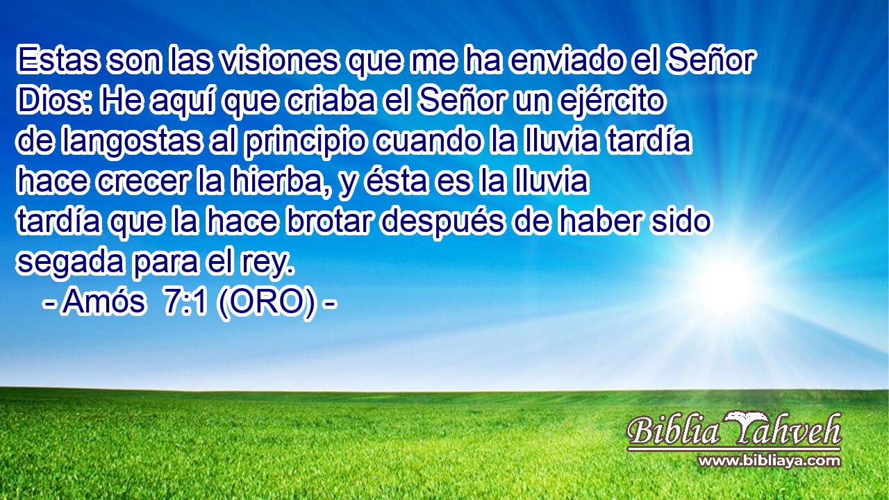  Estas son las visiones que me ha enviado el Señor Dios: He aquí que criaba el Señor un ejército de langostas al principio cuando la lluvia tardía hace crecer la hierba, y ésta es la lluvia tardía que la hace brotar después de haber sido segada para el rey. 