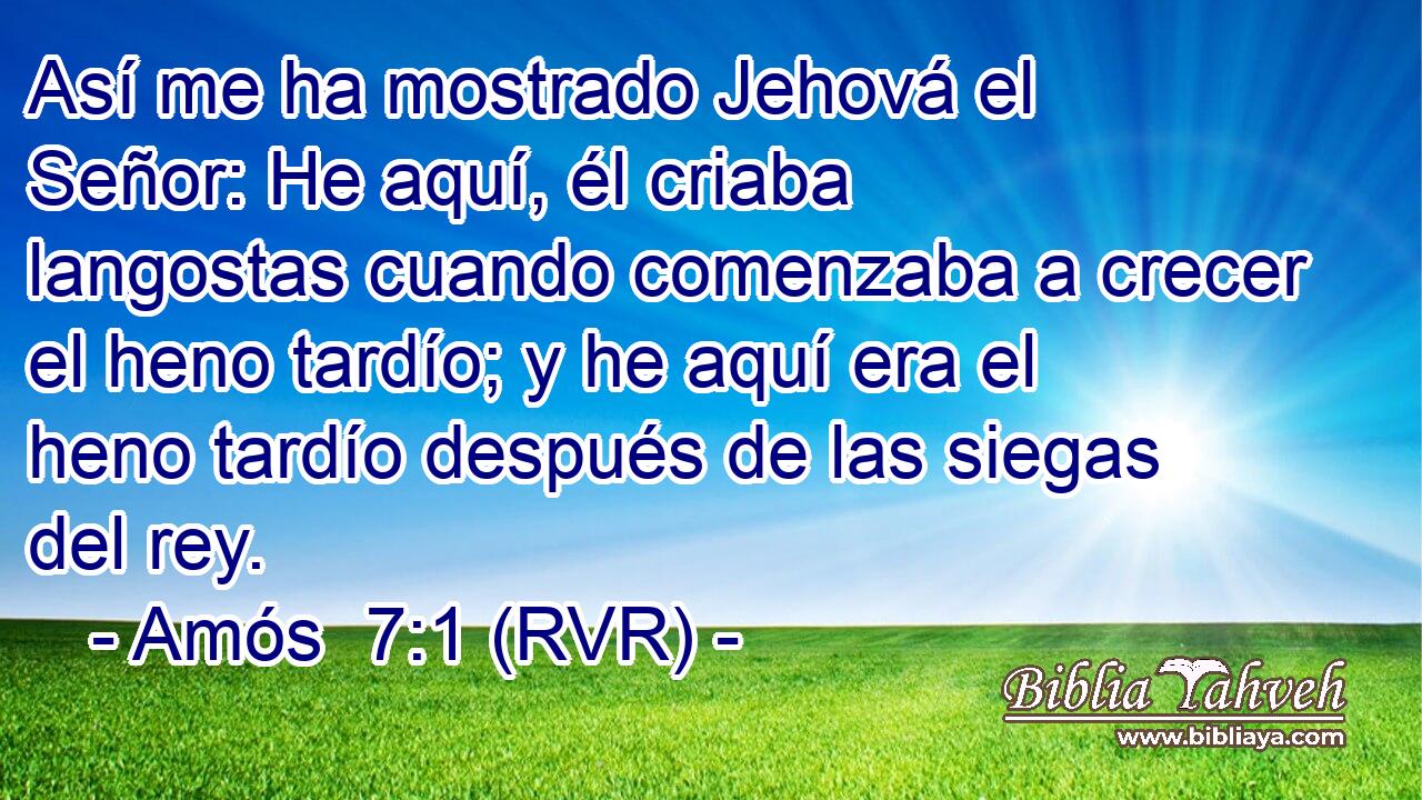 Así me ha mostrado Jehová el Señor: He aquí, él criaba langostas cuando comenzaba a crecer el heno tardío; y he aquí era el heno tardío después de las siegas del rey.