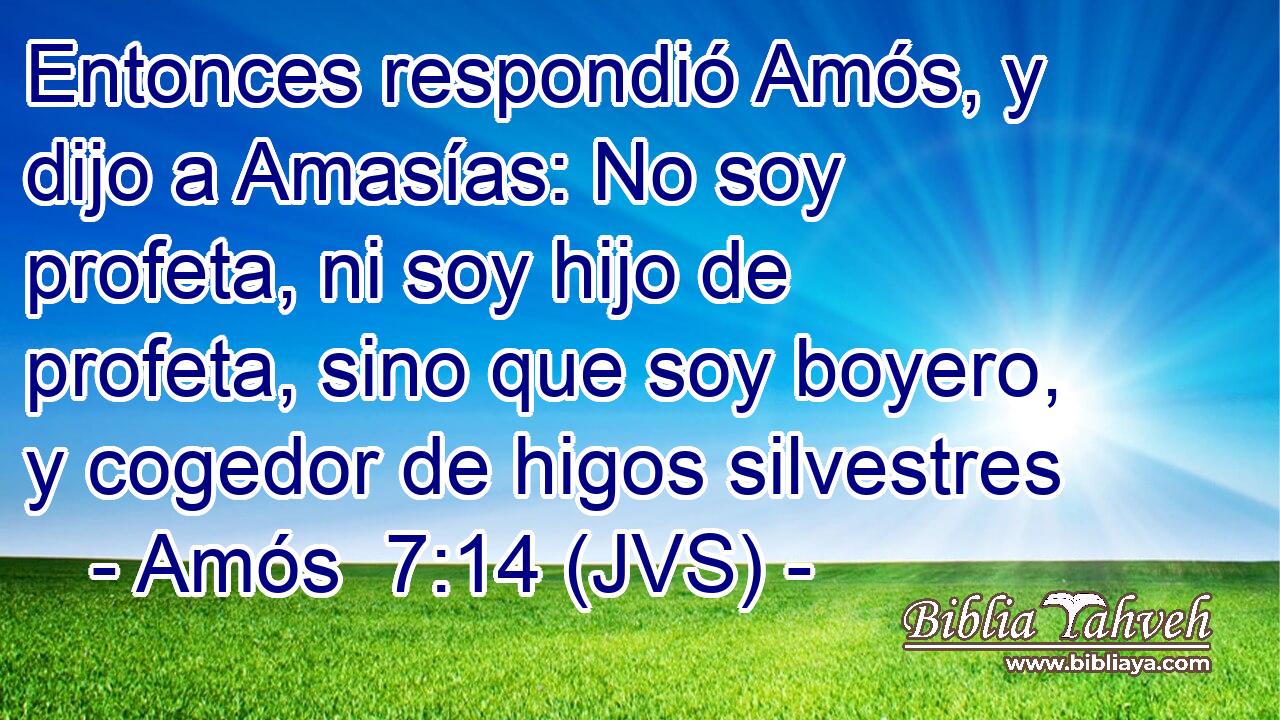 Entonces respondió Amós, y dijo a Amasías: No soy profeta, ni soy hijo de profeta, sino que soy boyero, y cogedor de higos silvestres