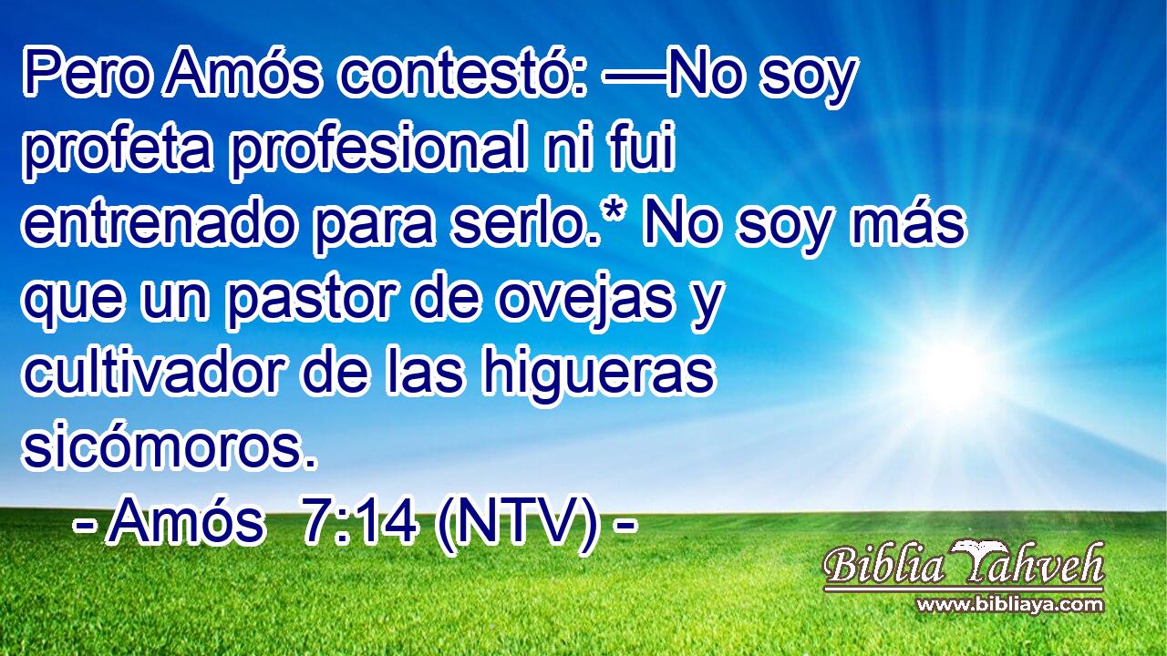 Pero Amós contestó: —No soy profeta profesional ni fui entrenado para serlo.* No soy más que un pastor de ovejas y cultivador de las higueras sicómoros.