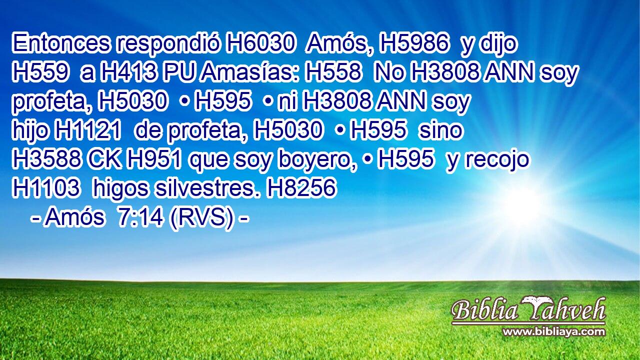 Entonces respondió H6030  Amós, H5986  y dijo H559  a H413 PU Amasías: H558  No H3808 ANN soy profeta, H5030  • H595  • ni H3808 ANN soy hijo H1121  de profeta, H5030  • H595  sino H3588 CK H951 que soy boyero, • H595  y recojo H1103  higos silvestres. H8256  