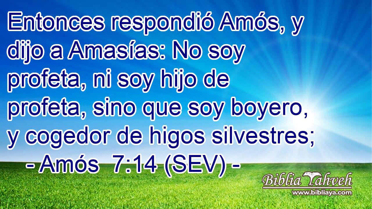 Entonces respondió Amós, y dijo a Amasías: No soy profeta, ni soy hijo de profeta, sino que soy boyero, y cogedor de higos silvestres;