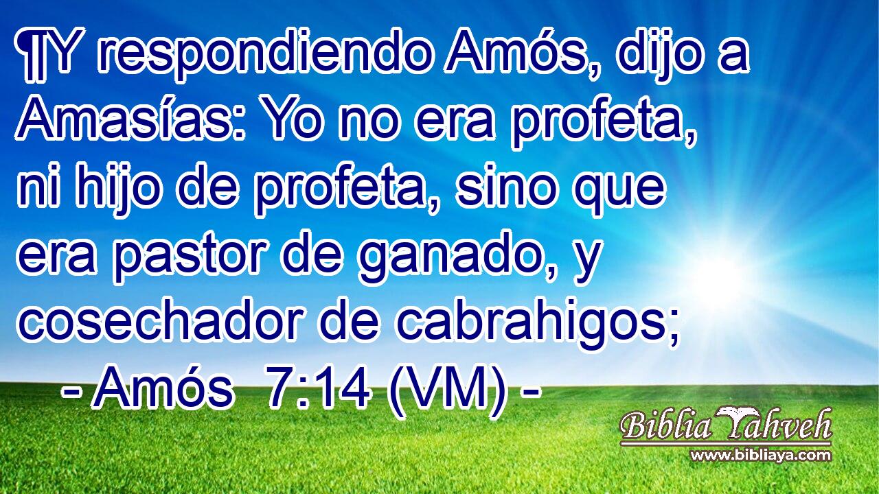  ¶Y respondiendo Amós, dijo a Amasías: Yo no era profeta, ni hijo de profeta, sino que era pastor de ganado, y cosechador de cabrahigos; 