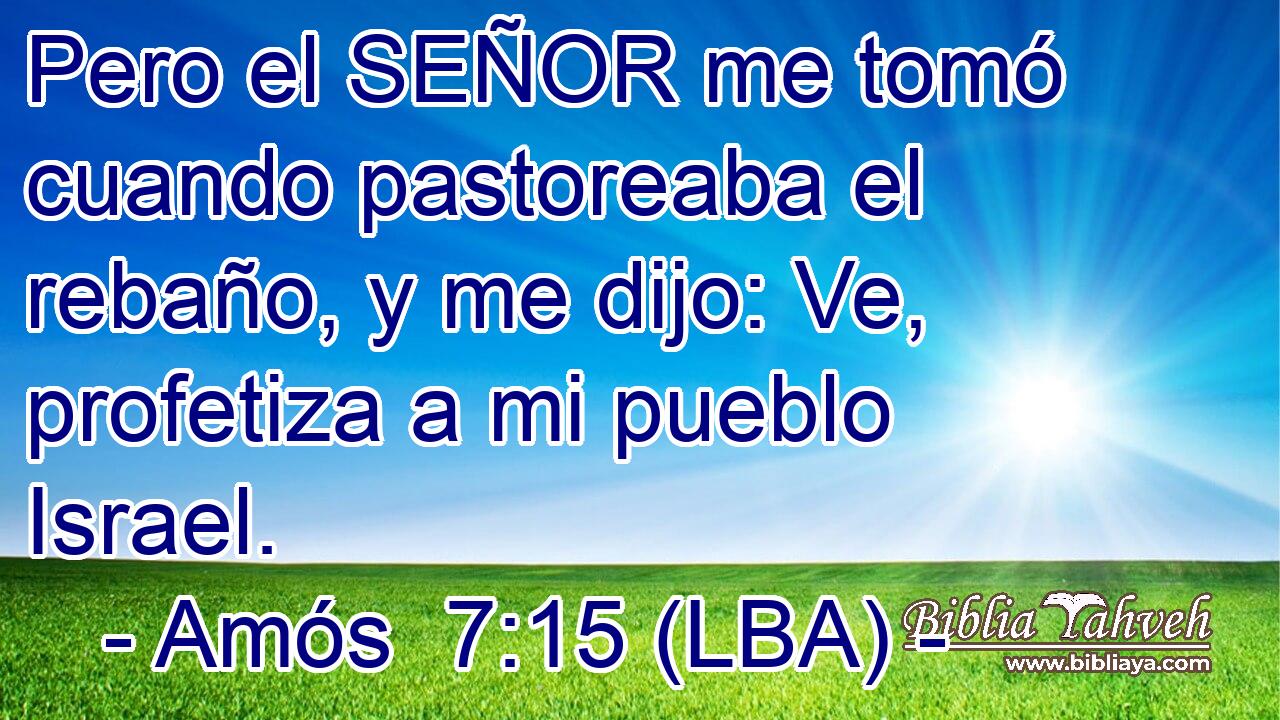 Pero el SEÑOR me tomó cuando pastoreaba el rebaño, y me dijo: Ve, profetiza a mi pueblo Israel.
