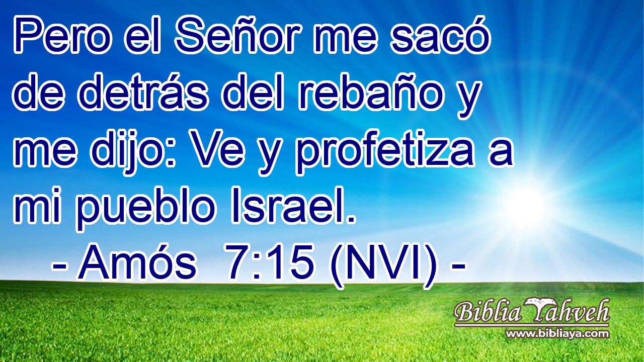  Pero el Señor me sacó de detrás del rebaño y me dijo: Ve y profetiza a mi pueblo Israel. 