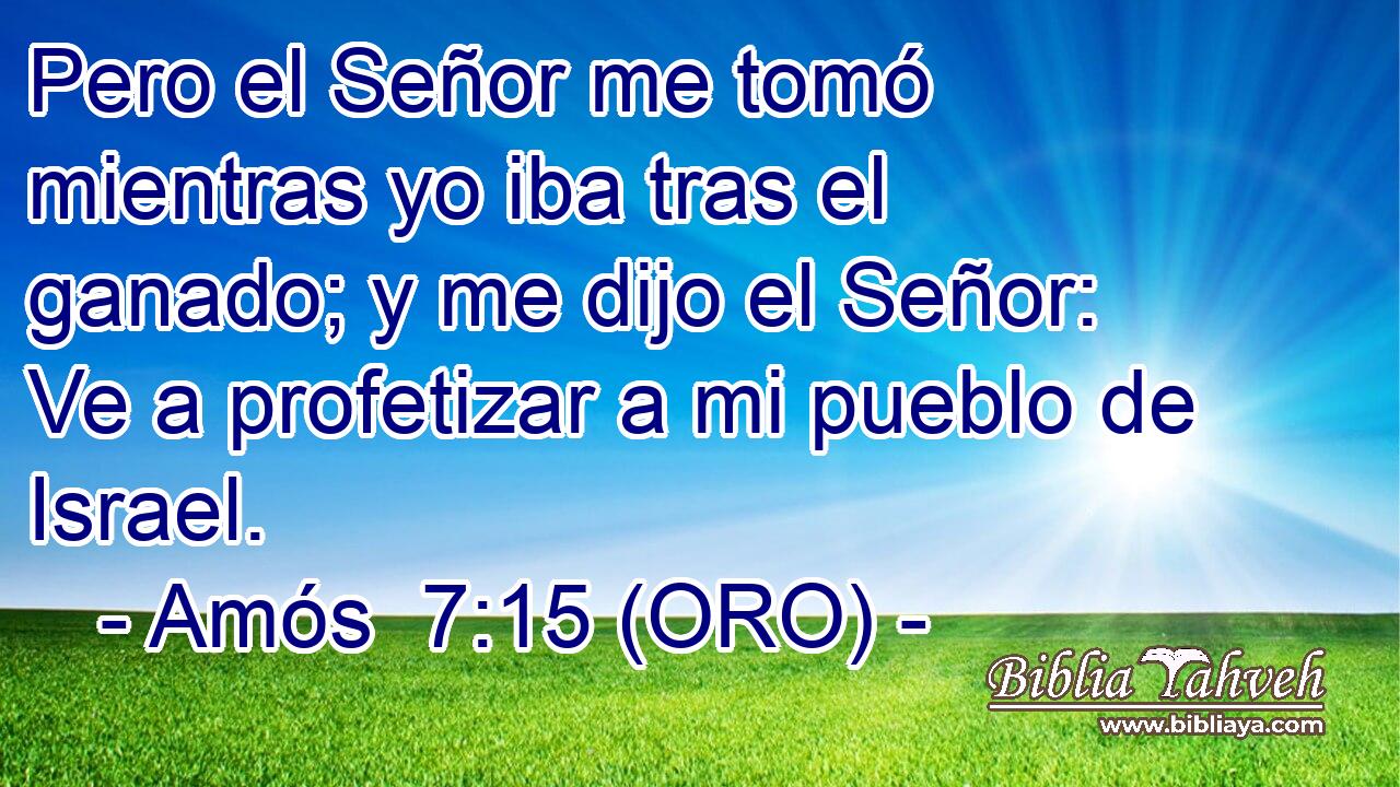  Pero el Señor me tomó mientras yo iba tras el ganado; y me dijo el Señor: Ve a profetizar a mi pueblo de Israel. 