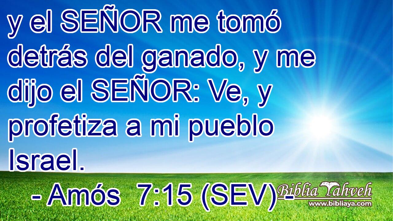 y el SEÑOR me tomó detrás del ganado, y me dijo el SEÑOR: Ve, y profetiza a mi pueblo Israel.