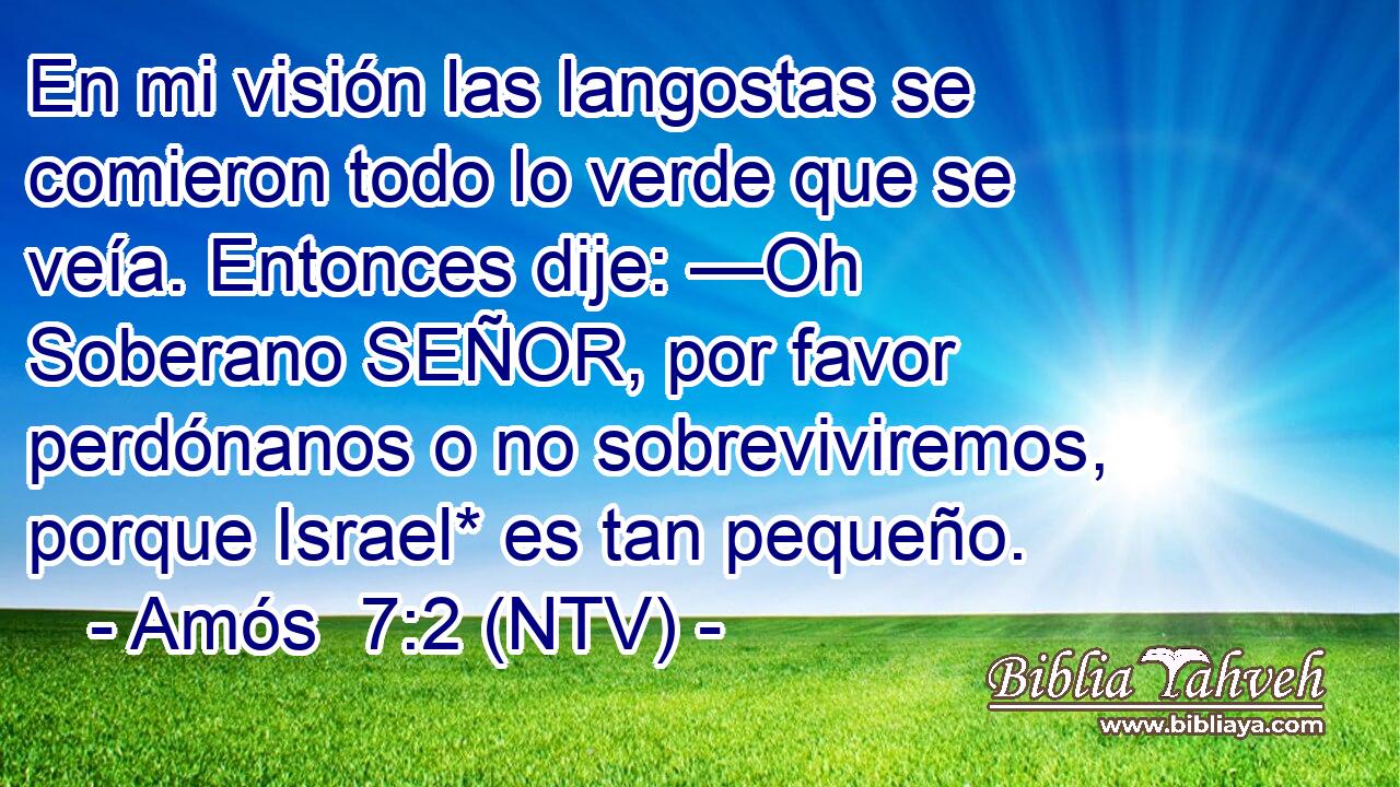 En mi visión las langostas se comieron todo lo verde que se veía. Entonces dije: —Oh Soberano SEÑOR, por favor perdónanos o no sobreviviremos, porque Israel* es tan pequeño.