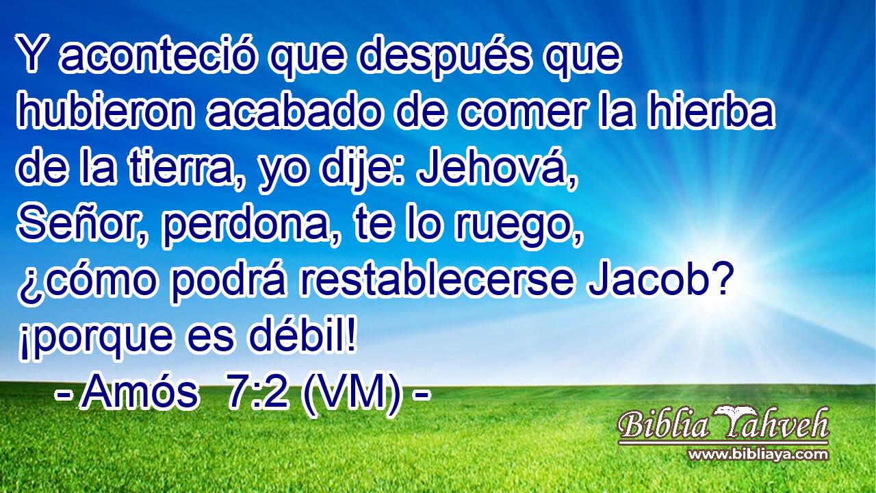  Y aconteció que después que hubieron acabado de comer la hierba de la tierra, yo dije: Jehová, Señor, perdona, te lo ruego, ¿cómo podrá restablecerse Jacob? ¡porque es débil! 
