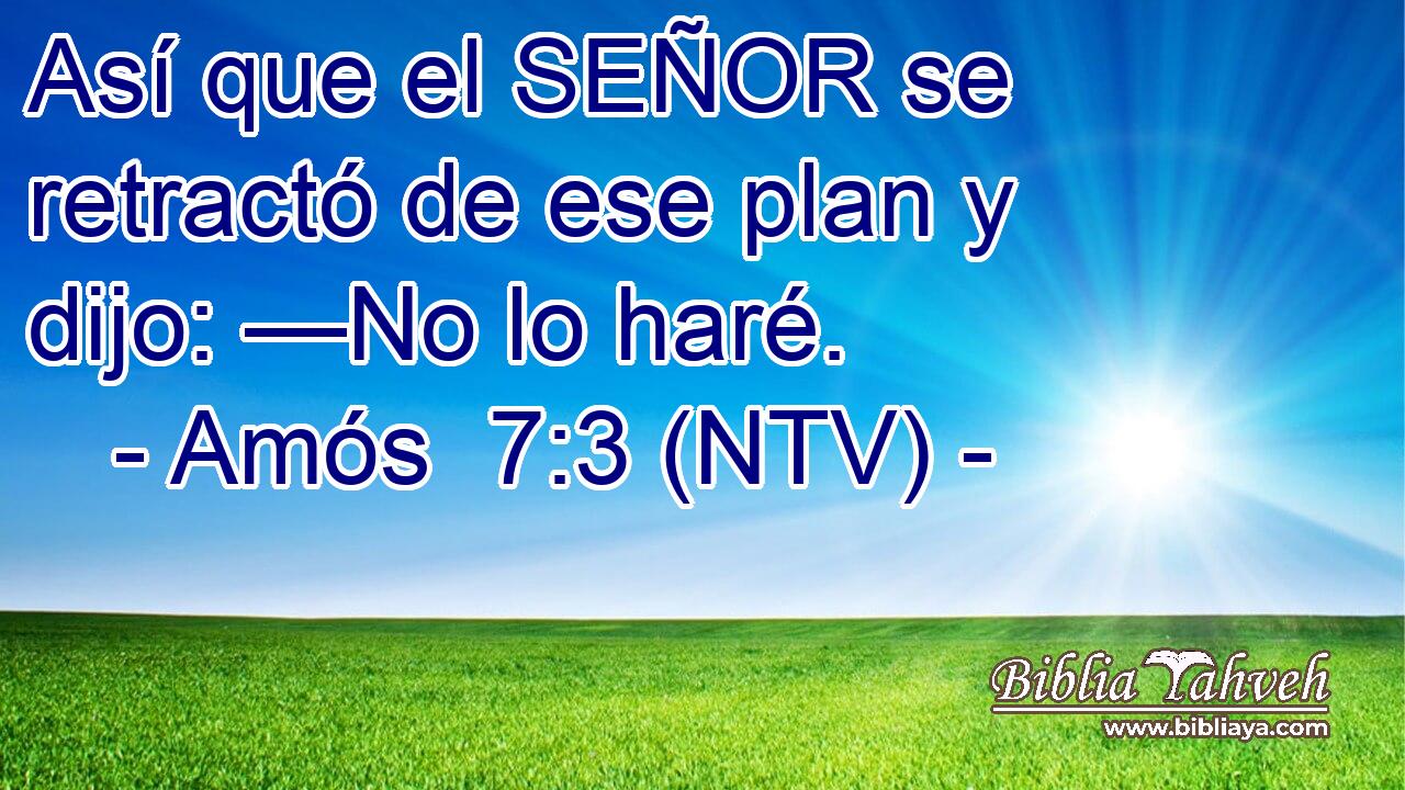 Así que el SEÑOR se retractó de ese plan y dijo: —No lo haré.