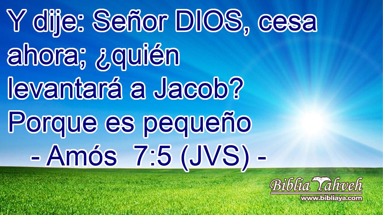 Y dije: Señor DIOS, cesa ahora; ¿quién levantará a Jacob? Porque es pequeño