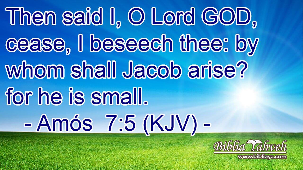 Then said I, O Lord GOD, cease, I beseech thee: by whom shall Jacob arise? for he is small.