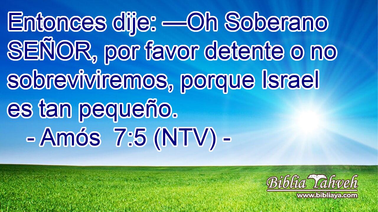 Entonces dije: —Oh Soberano SEÑOR, por favor detente o no sobreviviremos, porque Israel es tan pequeño.