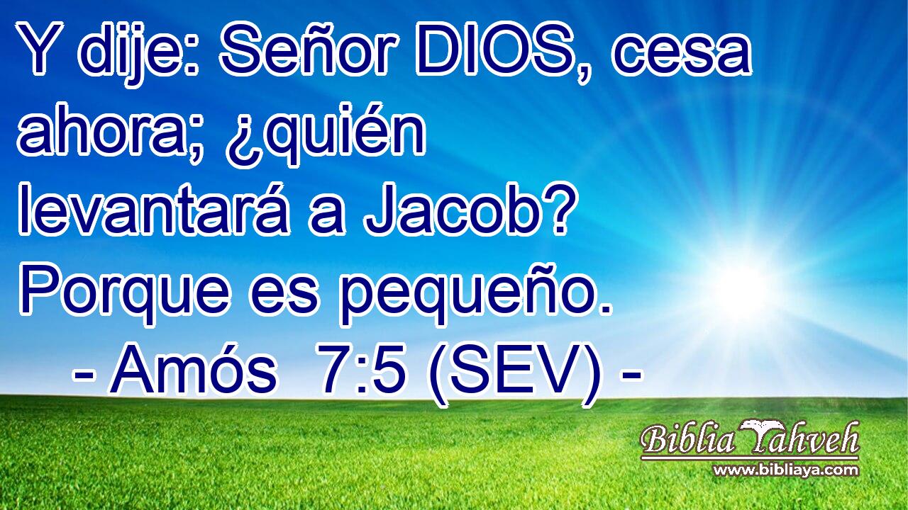 Y dije: Señor DIOS, cesa ahora; ¿quién levantará a Jacob? Porque es pequeño.