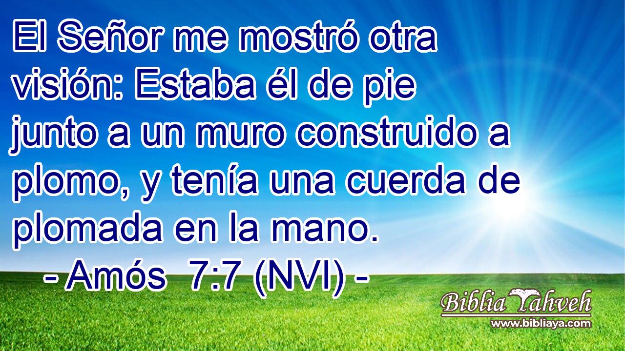  El Señor me mostró otra visión: Estaba él de pie junto a un muro construido a plomo, y tenía una cuerda de plomada en la mano. 
