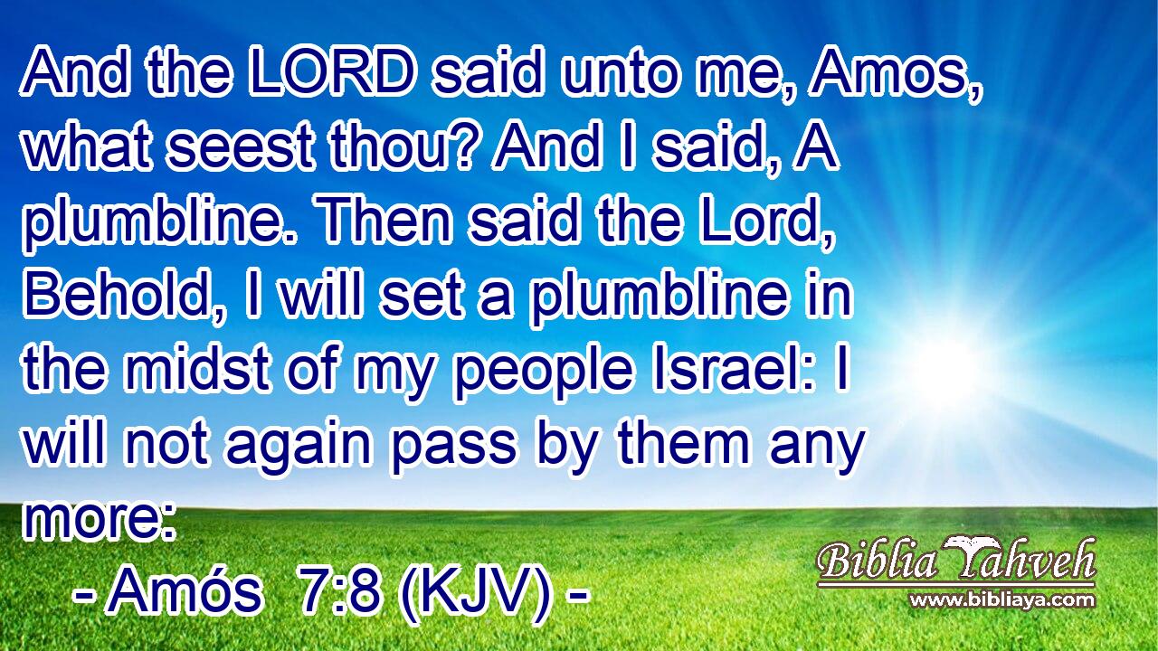 And the LORD said unto me, Amos, what seest thou? And I said, A plumbline. Then said the Lord, Behold, I will set a plumbline in the midst of my people Israel: I will not again pass by them any more: