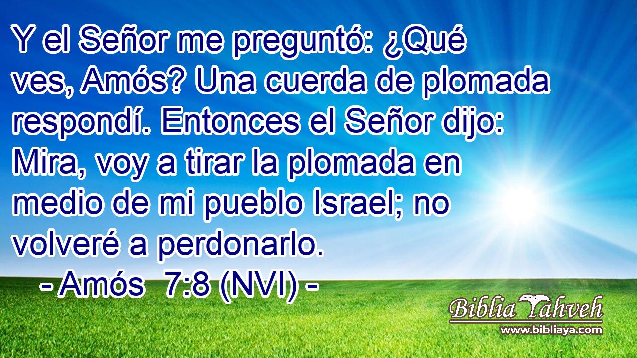  Y el Señor me preguntó: ¿Qué ves, Amós? Una cuerda de plomada respondí. Entonces el Señor dijo: Mira, voy a tirar la plomada en medio de mi pueblo Israel; no volveré a perdonarlo. 