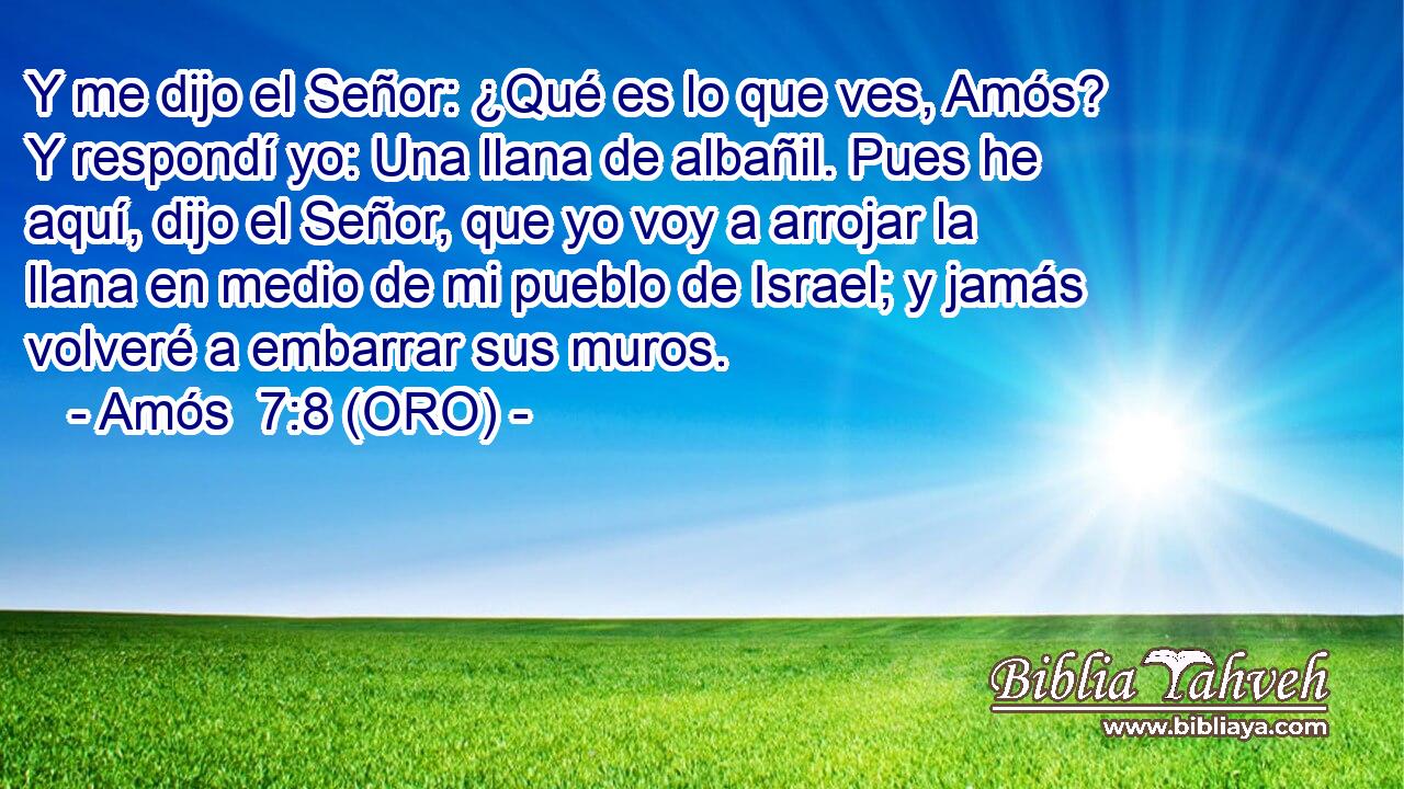  Y me dijo el Señor: ¿Qué es lo que ves, Amós? Y respondí yo: Una llana de albañil. Pues he aquí, dijo el Señor, que yo voy a arrojar la llana en medio de mi pueblo de Israel; y jamás volveré a embarrar sus muros. 