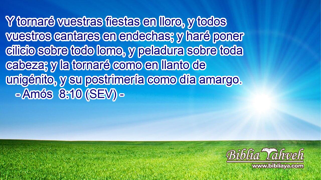 Y tornaré vuestras fiestas en lloro, y todos vuestros cantares en endechas; y haré poner cilicio sobre todo lomo, y peladura sobre toda cabeza; y la tornaré como en llanto de unigénito, y su postrimería como día amargo.