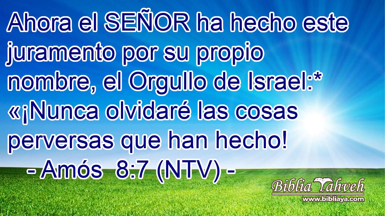 Ahora el SEÑOR ha hecho este juramento por su propio nombre, el Orgullo de Israel:* «¡Nunca olvidaré las cosas perversas que han hecho!