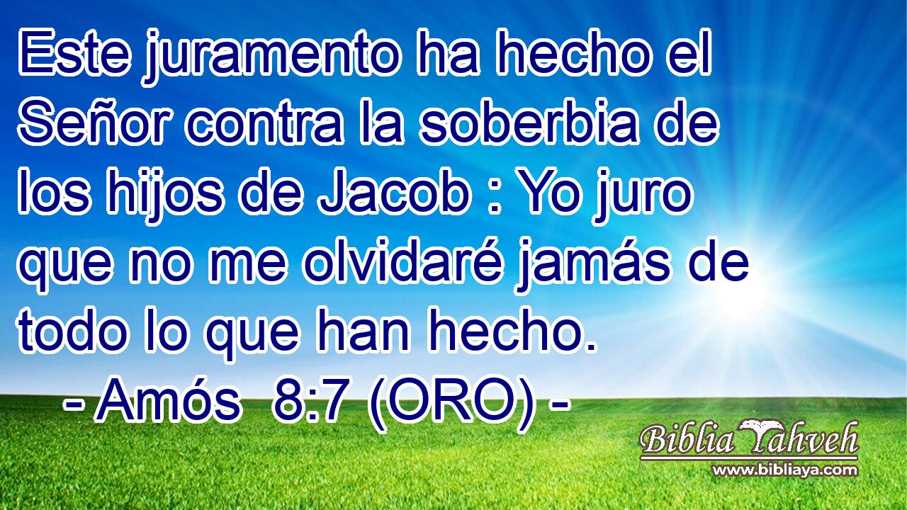  Este juramento ha hecho el Señor contra la soberbia de los hijos de Jacob : Yo juro que no me olvidaré jamás de todo lo que han hecho. 