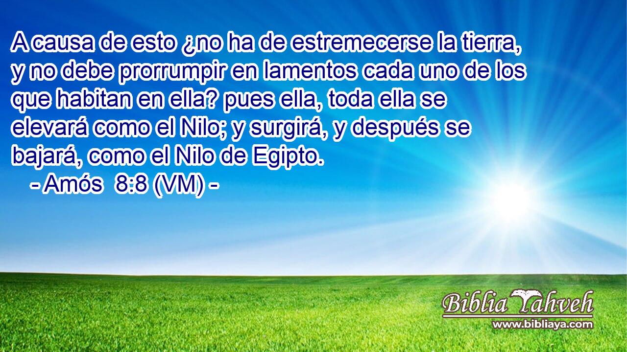  A causa de esto ¿no ha de estremecerse la tierra, y no debe prorrumpir en lamentos cada uno de los que habitan en ella? pues ella, toda ella se elevará como el Nilo; y surgirá, y después se bajará, como el Nilo de Egipto. 
