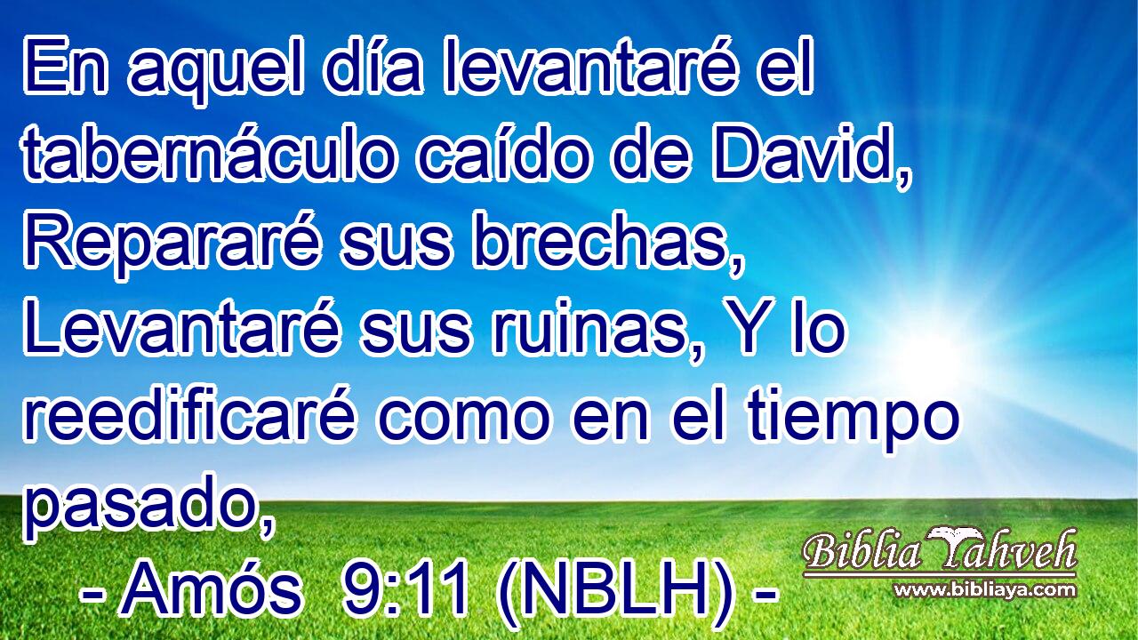  En aquel día levantaré el tabernáculo caído de David, Repararé sus brechas, Levantaré sus ruinas, Y lo reedificaré como en el tiempo pasado, 