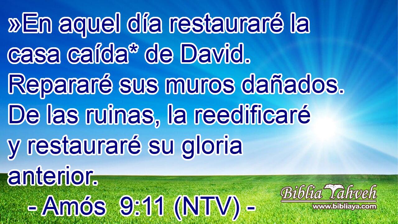 »En aquel día restauraré la casa caída* de David. Repararé sus muros dañados. De las ruinas, la reedificaré y restauraré su gloria anterior.