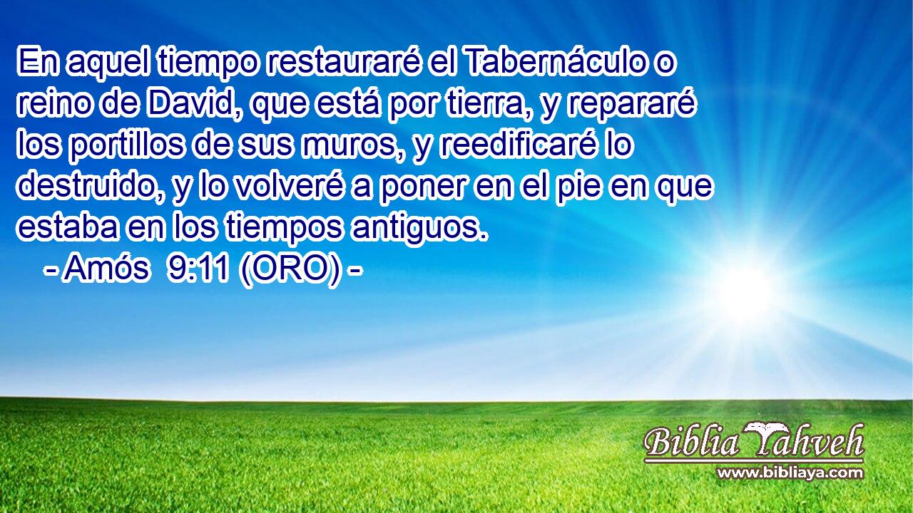  En aquel tiempo restauraré el Tabernáculo o reino de David, que está por tierra, y repararé los portillos de sus muros, y reedificaré lo destruido, y lo volveré a poner en el pie en que estaba en los tiempos antiguos. 